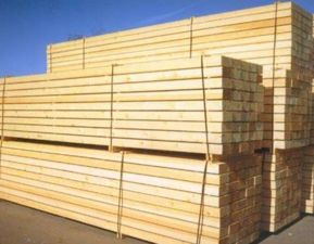 啄木鳥(niǎo)板材 裝飾材料與店鋪裝修視覺(jué)鑒賞